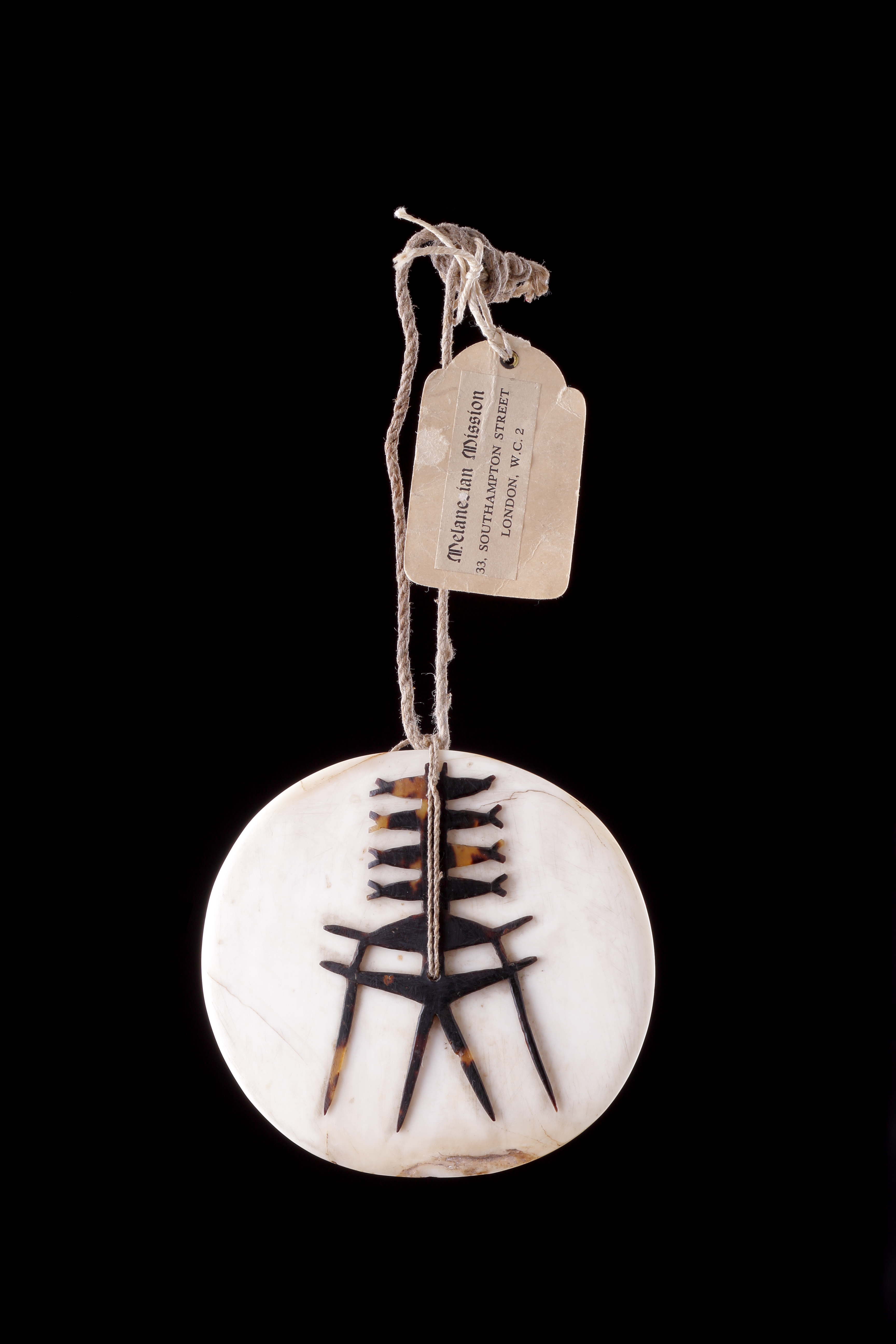 A Pacific Tridacna Clam Shell Breastplate ‘Tema’